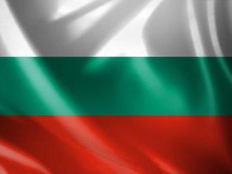 LicencePro Bulgaria Team flag